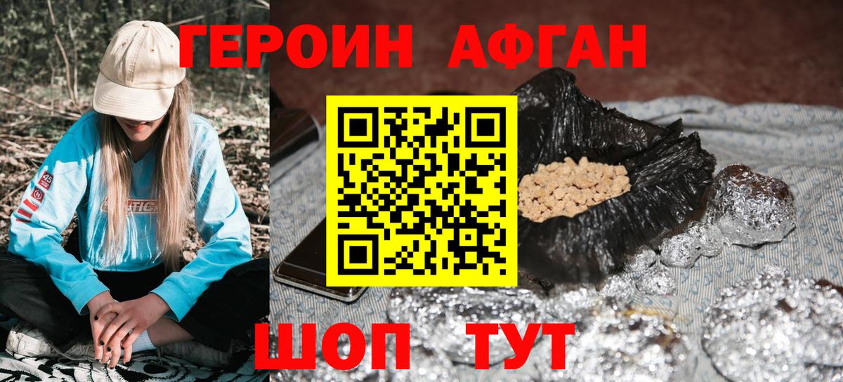 ГЕРОИН хмурый Бердск