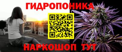 молекула духа Шебекино