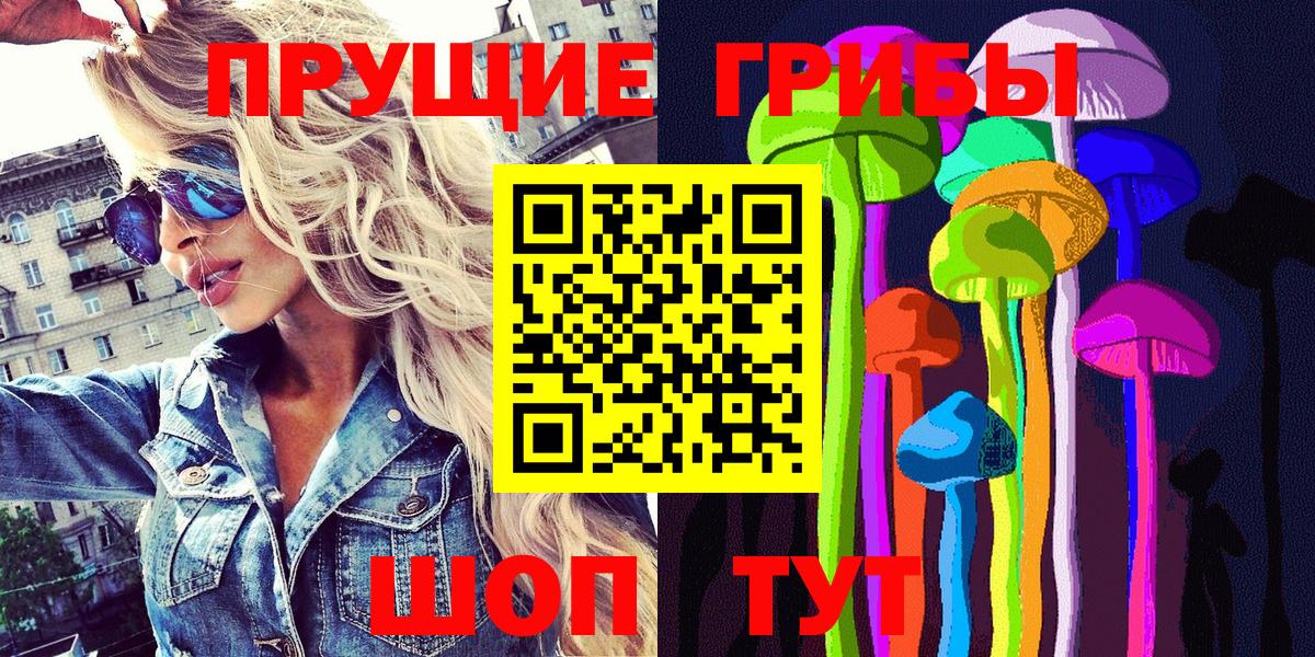 Галлюциногенные грибы Psilocybine cubensis Бердск