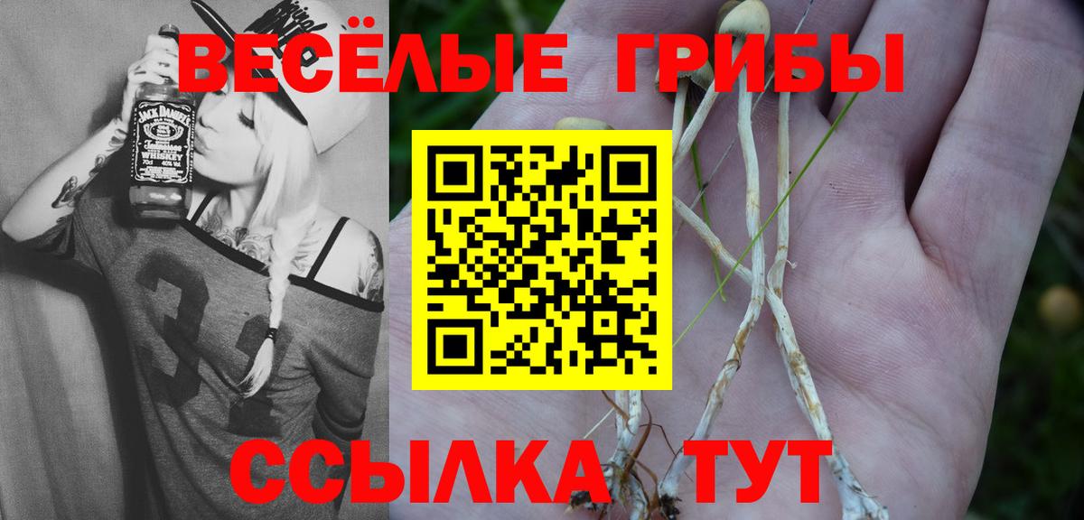 Бердск  Галлюциногенные грибы мицелий  Вход с VPN 