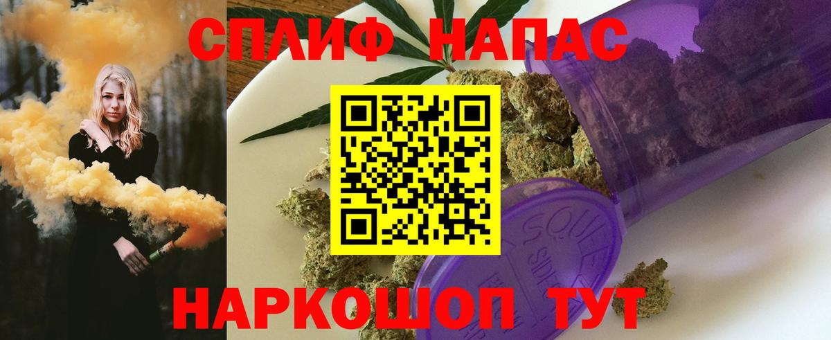 МАРИХУАНА ГИДРОПОН  Вход с VPN  Бердск  Канабис сатива  Конопля AK-47  Бошки Шишки SATIVA & INDICA 